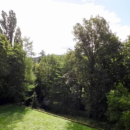 Moderne Nahe Swr Und Golfplatz Apartmán Baden-Baden