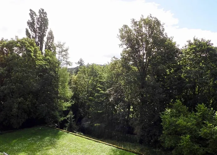 Moderne Nahe Swr Und Golfplatz Apartamento Baden-Baden
